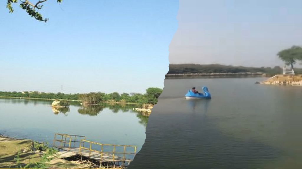 Blue Bird , Hisar